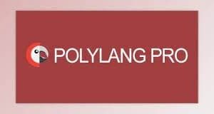 Polylang Pro v3.3.3 – Multilingual Plugin